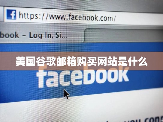 美国谷歌邮箱购买网站是什么